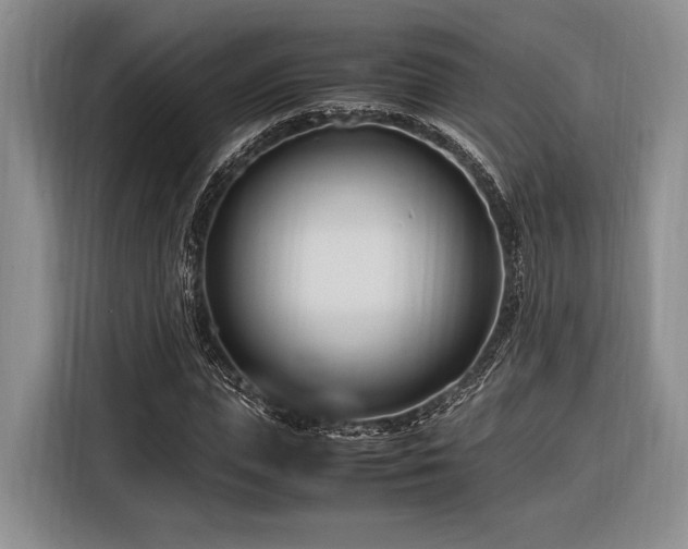 X0000116270823200912071040