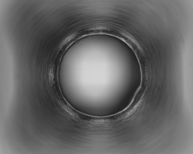X0000116270826200912071040