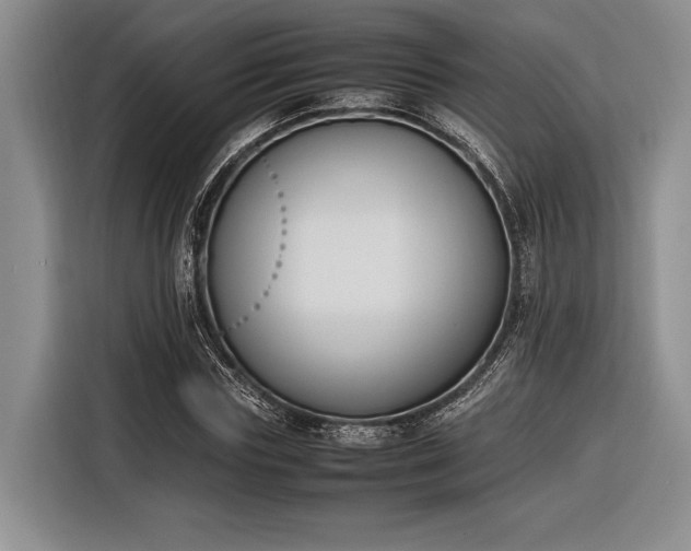 X0000116270827200912071040