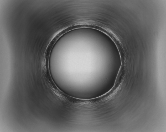 X0000116270830200912071040