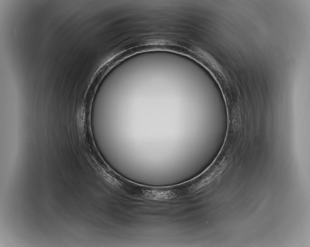 X0000116270831200912071040