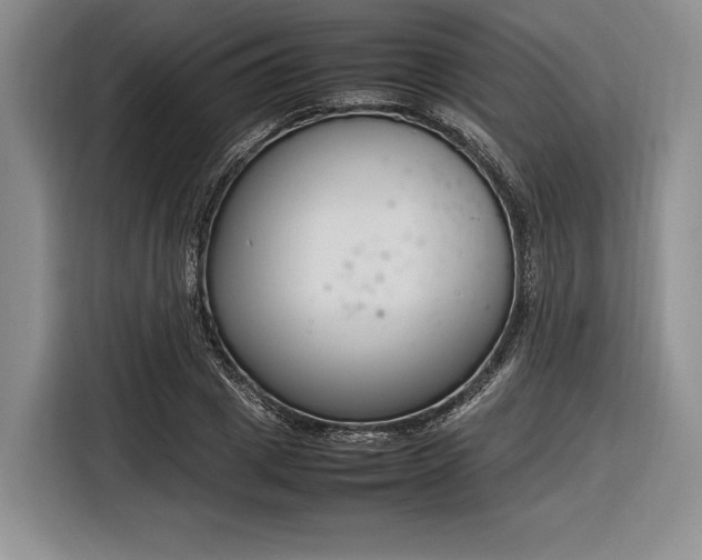 X0000116270833200912071040