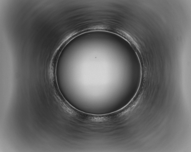 X0000116270835200912071041