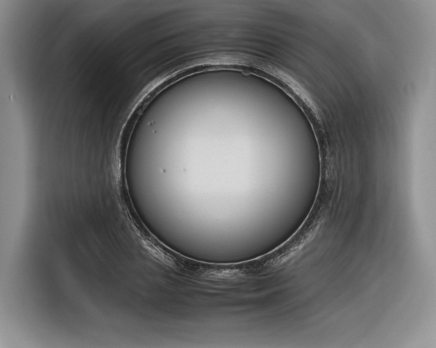 X0000116270837200912071041
