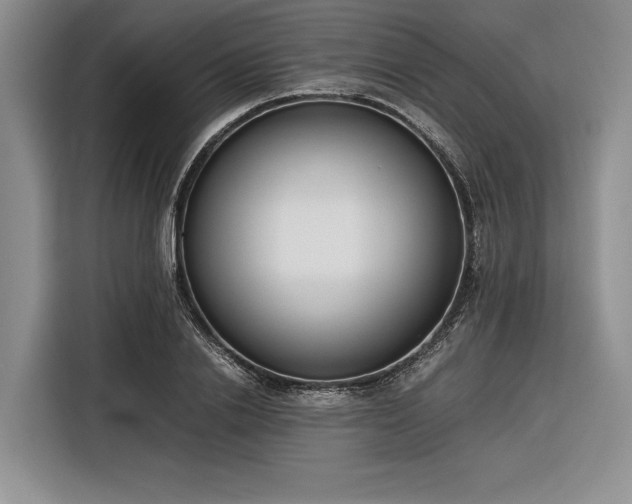 X0000116270838200912071041