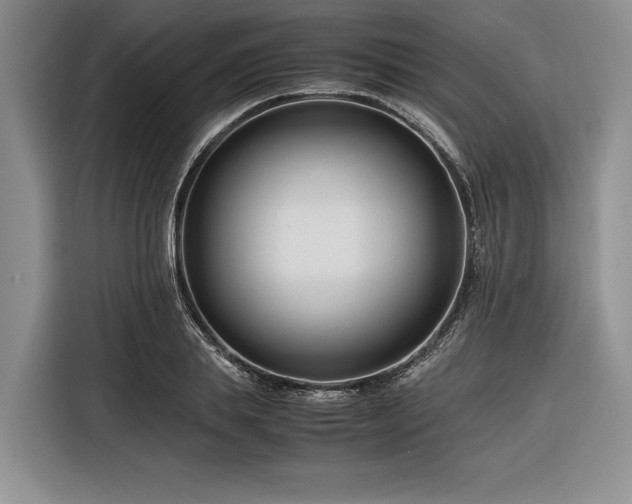 X0000116270839200912071041