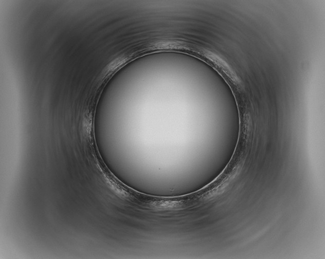 X0000116270841200912071041