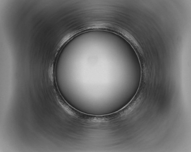 X0000116270842200912071041