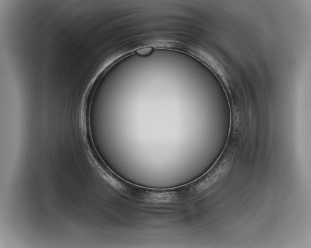 X0000116270843200912071041