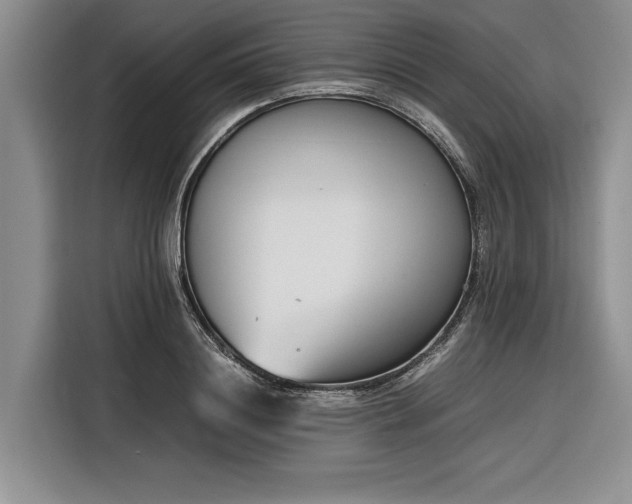 X0000116270844200912071041