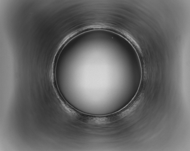 X0000116270845200912071041