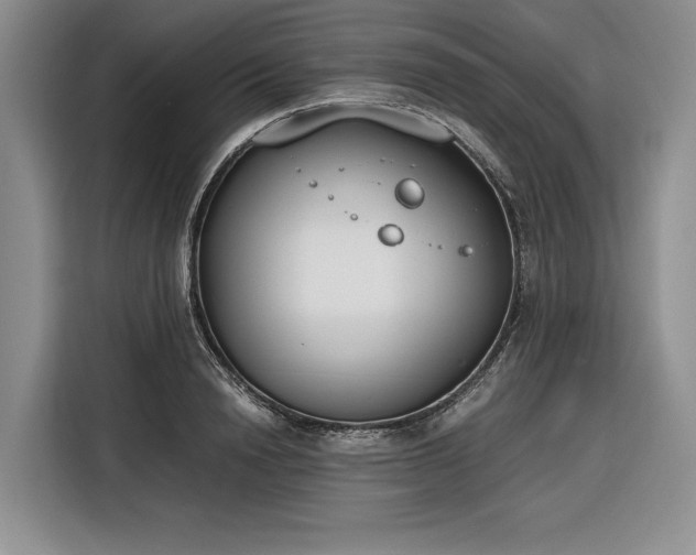 X0000116270846200912071041