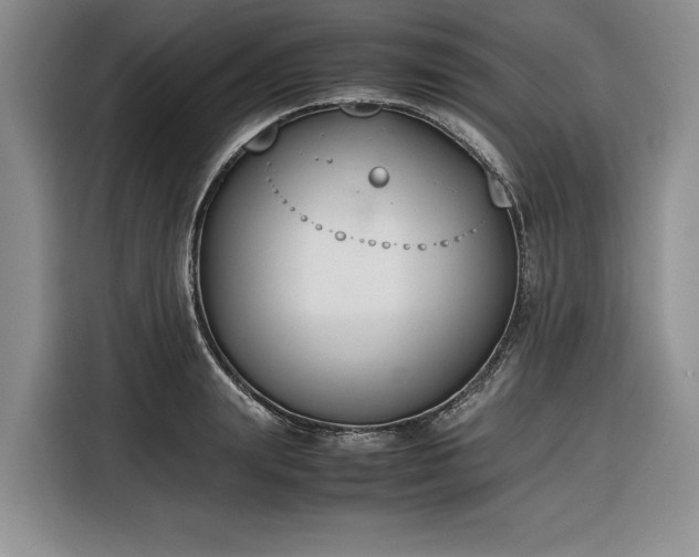 X0000116270847200912071041
