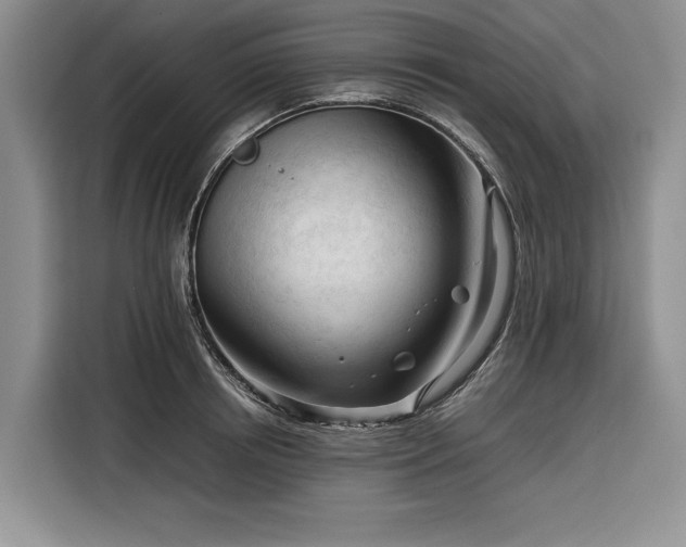 X0000116270850200912071041
