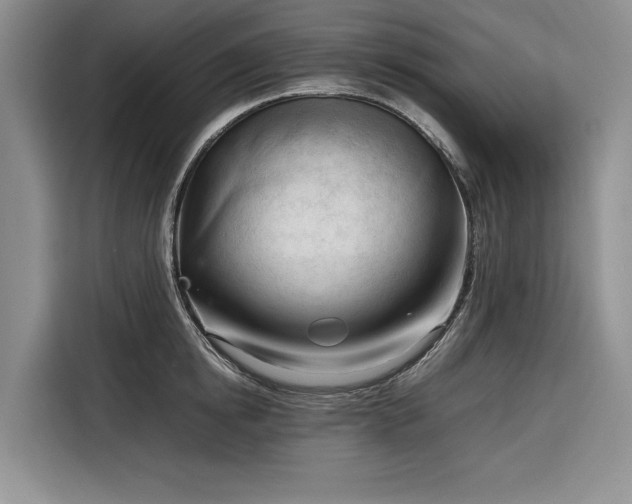 X0000116270854200912071041
