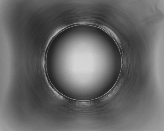 X0000116270855200912071041