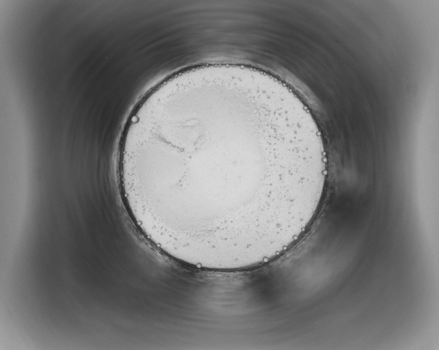 X0000116270856200912071041