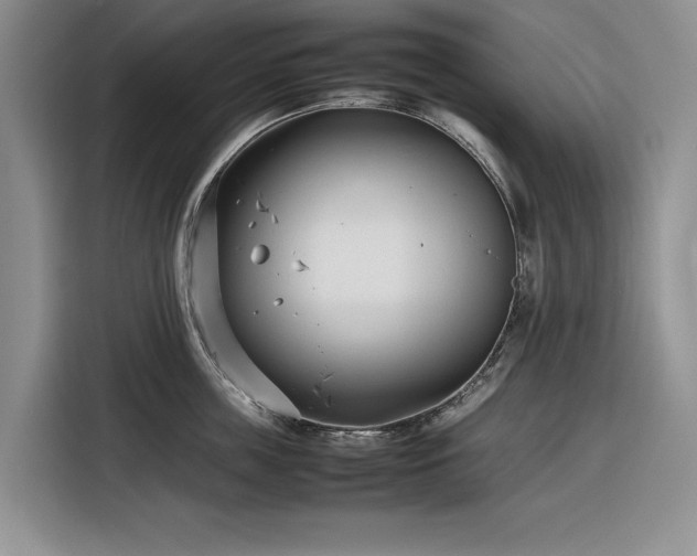 X0000116270859200912071041