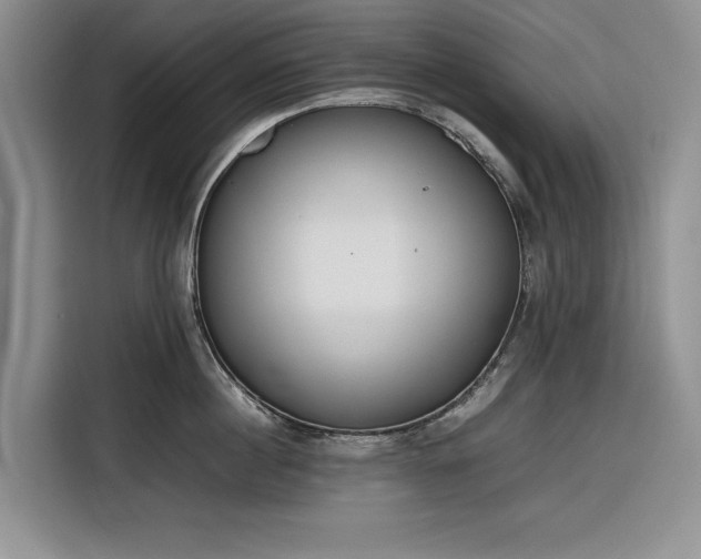 X0000116270860200912071041