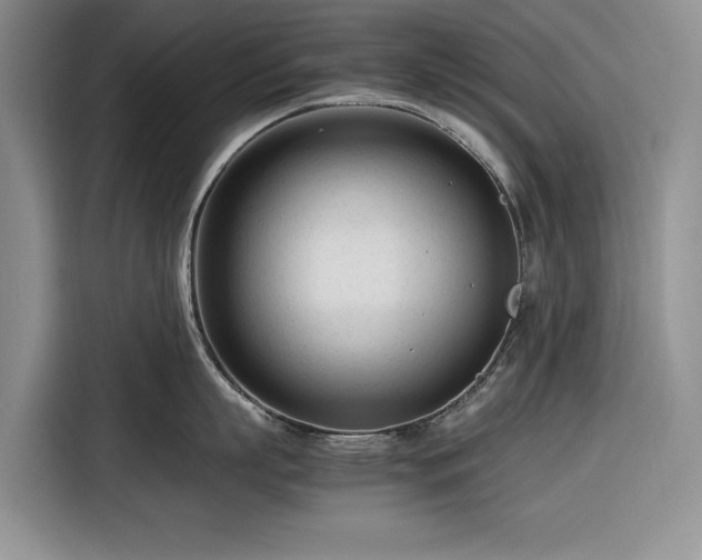 X0000116270863200912071041