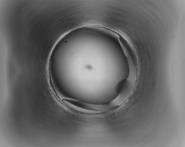 X0000116270864200912071041