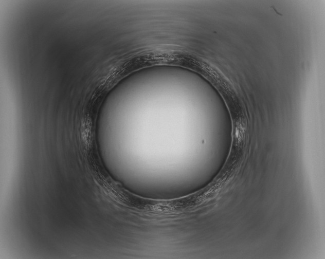 X0000116270867200912071040