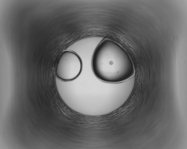 X0000116270868200912071040