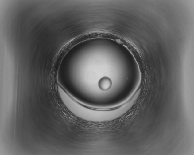 X0000116270872200912071040