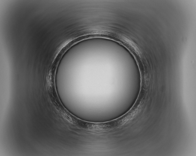 X0000116270875200912071040