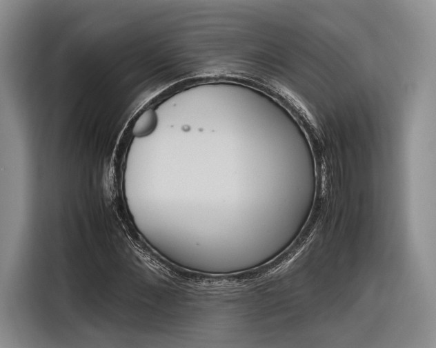 X0000116270876200912071040