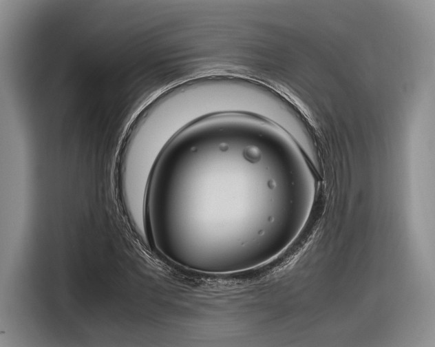X0000116270877200912071040