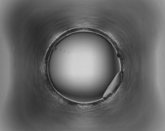 X0000116270879200912071040