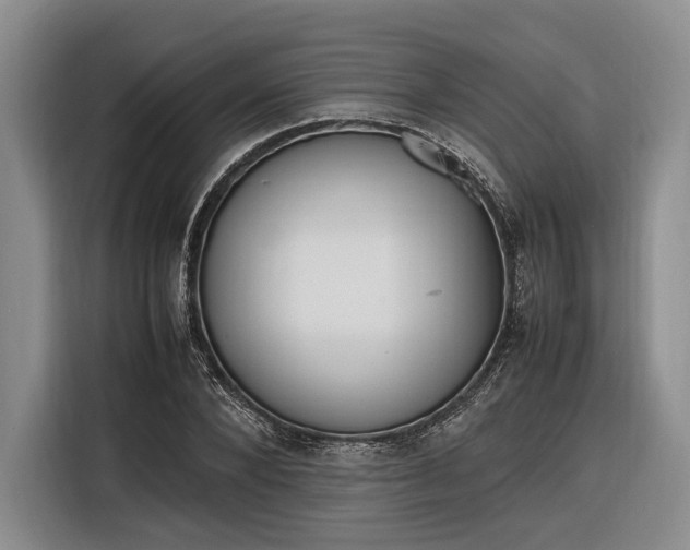 X0000116270880200912071040