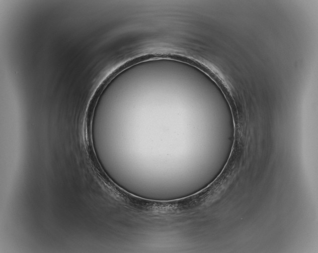 X0000116270887200912071040