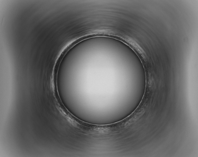 X0000116270888200912071040