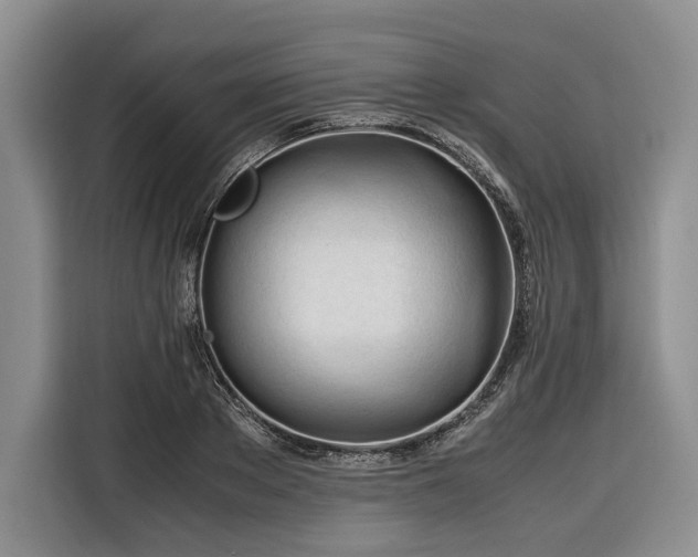 X0000116270889200912071040