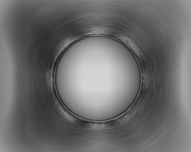 X0000116270890200912071040