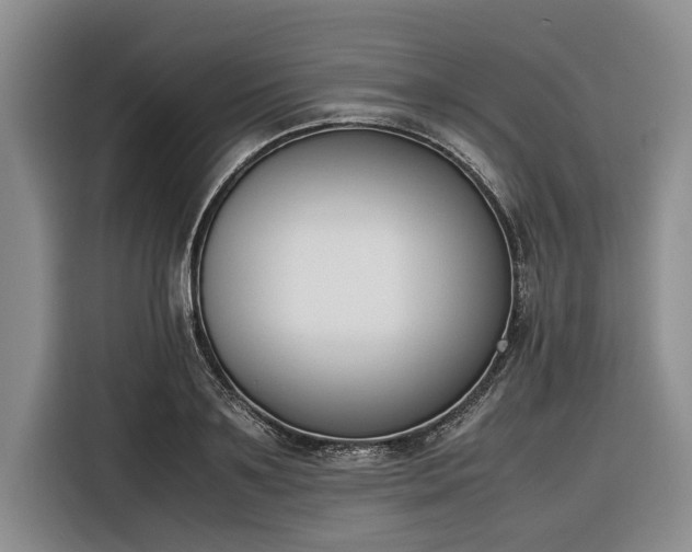 X0000116270891200912071040