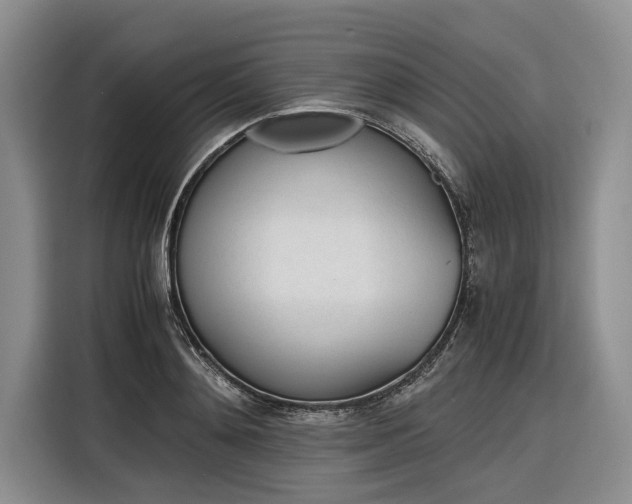 X0000116270892200912071040
