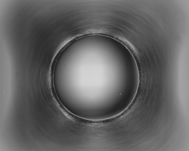 X0000116270894200912071040