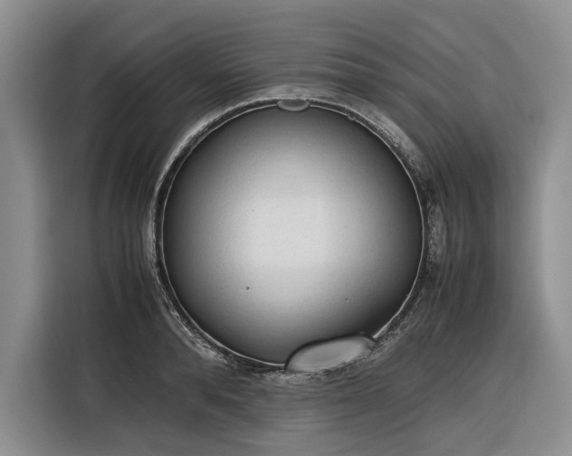 X0000116270896200912071040