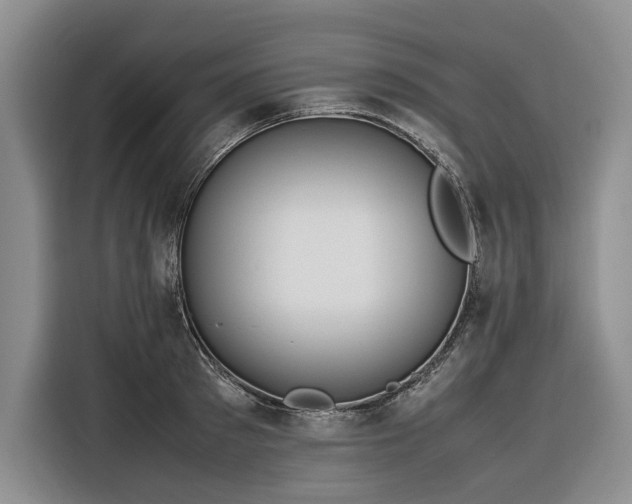 X0000116270897200912071040