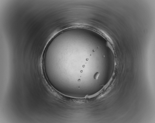 X0000116270899200912071040