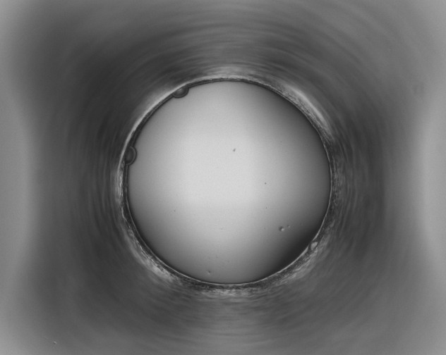 X0000116270900200912071040