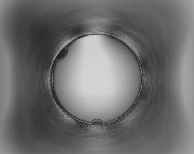 X0000116270901200912071040