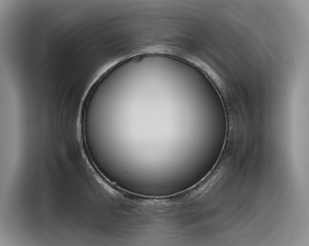 X0000116270902200912071040