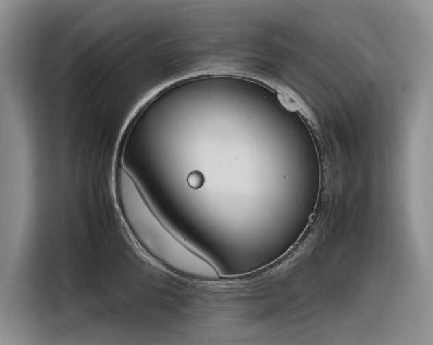 X0000116270904200912071040