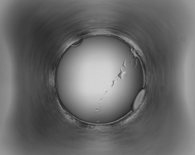 X0000116270905200912071040