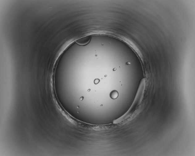 X0000116270906200912071040