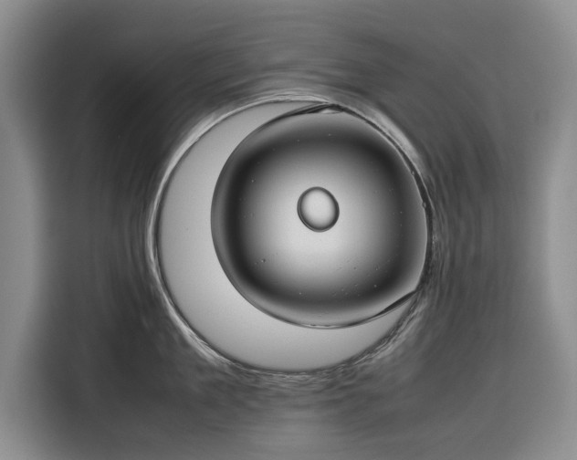X0000116270909200912071040